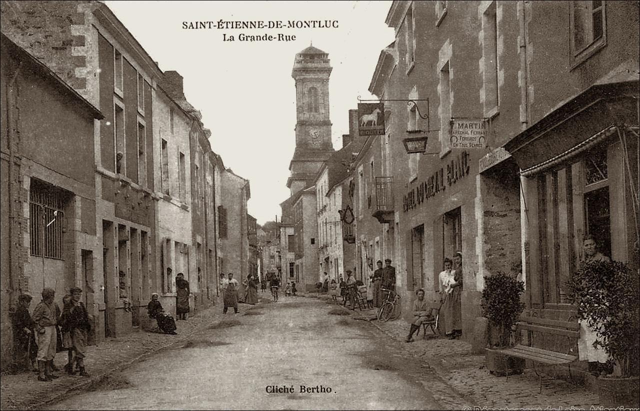 Saint-&Eacute;tienne-de-Montluc (44)