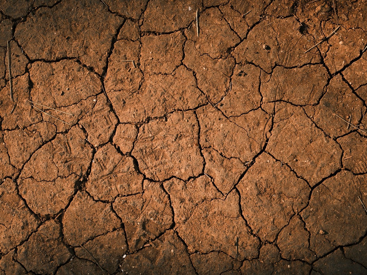 Sol argileux craquelé par le retrait en période sèche
